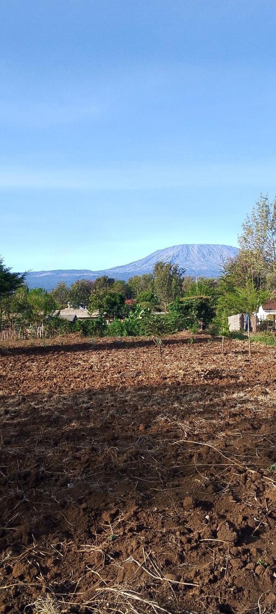 Greenfield Homestay -Full Board Oloitokitok Zewnętrze zdjęcie